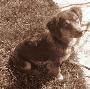 Meet your Posher, Danelle